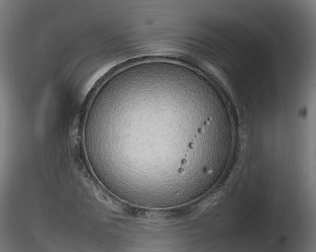X0000116880875200912291240