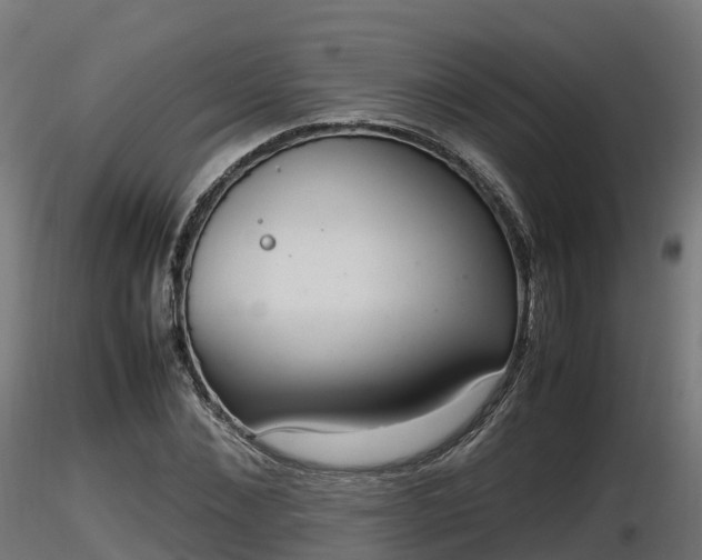 X0000116880876200912291240