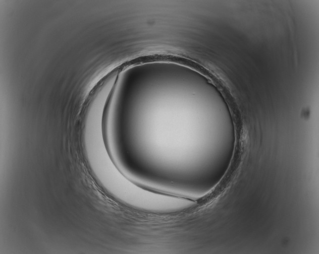 X0000116880877200912291240