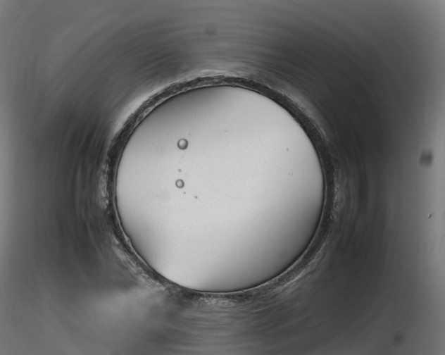 X0000116880878200912291240