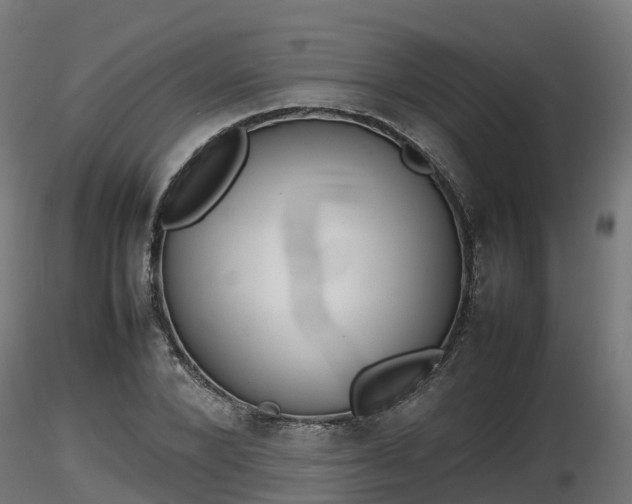 X0000116880880200912291240