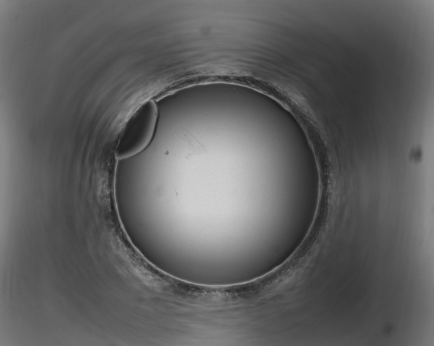 X0000116880881200912291240