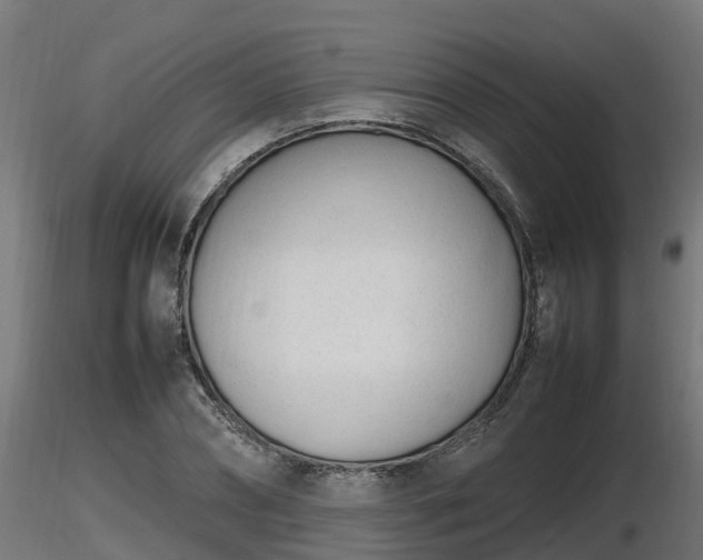 X0000116880882200912291240
