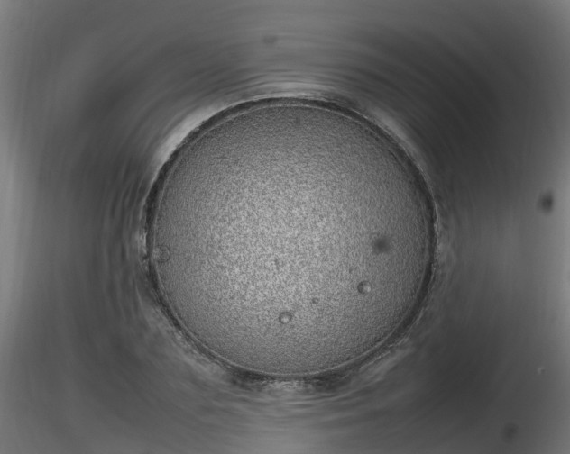X0000116880883200912291240