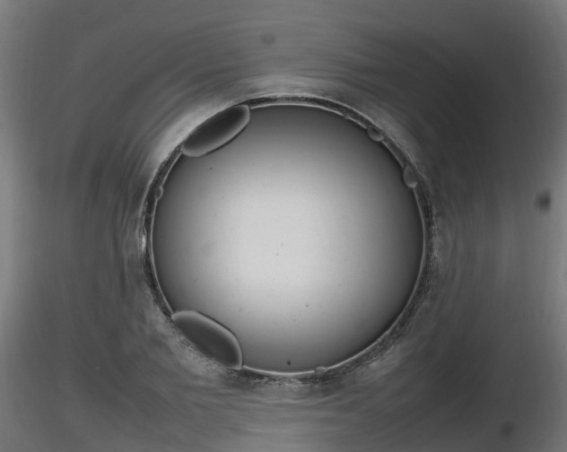 X0000116880885200912291240