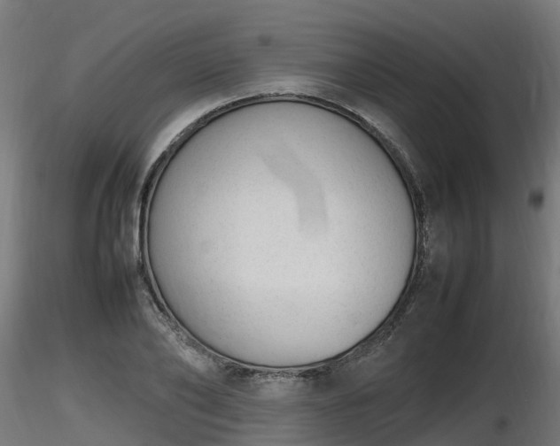 X0000116880886200912291240