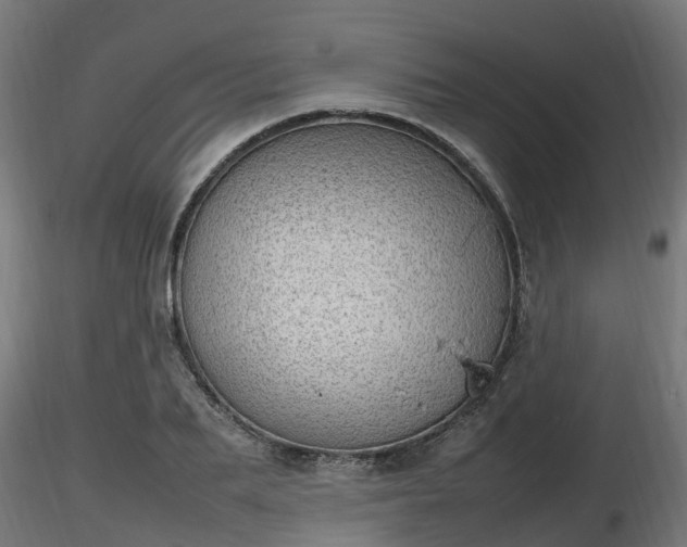X0000116880887200912291240