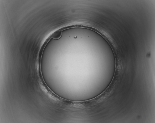 X0000116880888200912291240