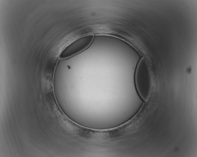 X0000116880889200912291240