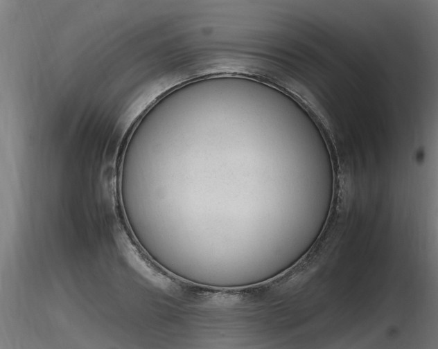 X0000116880890200912291240