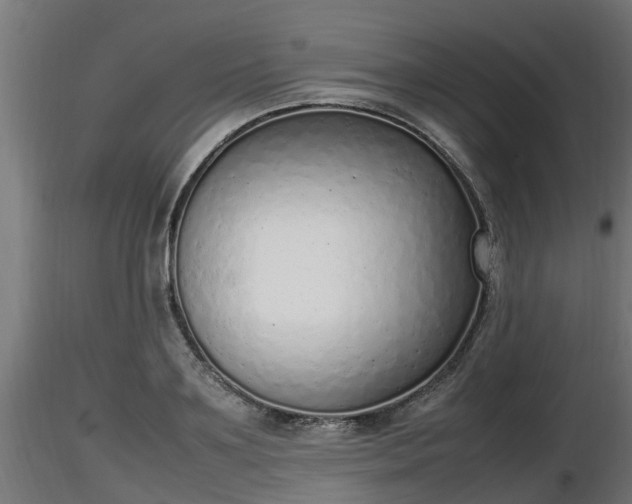 X0000116880891200912291240