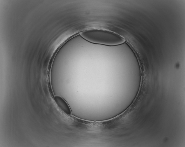X0000116880893200912291240