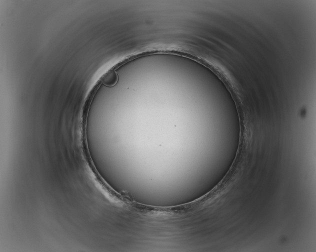 X0000116880894200912291240