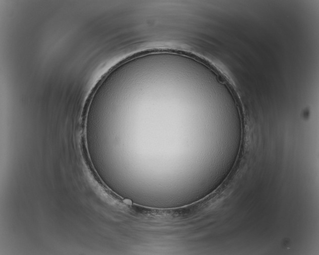 X0000116880895200912291240