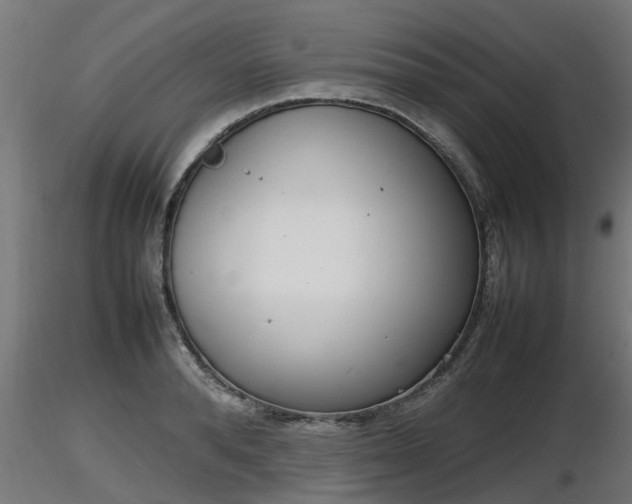X0000116880896200912291240