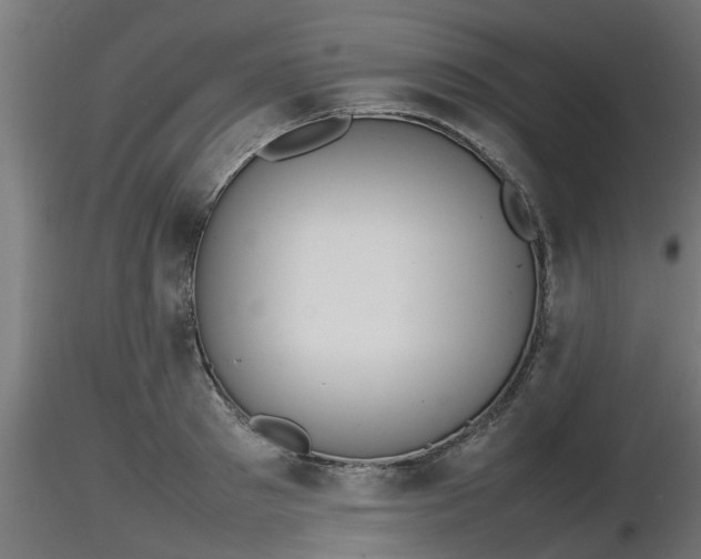 X0000116880897200912291240