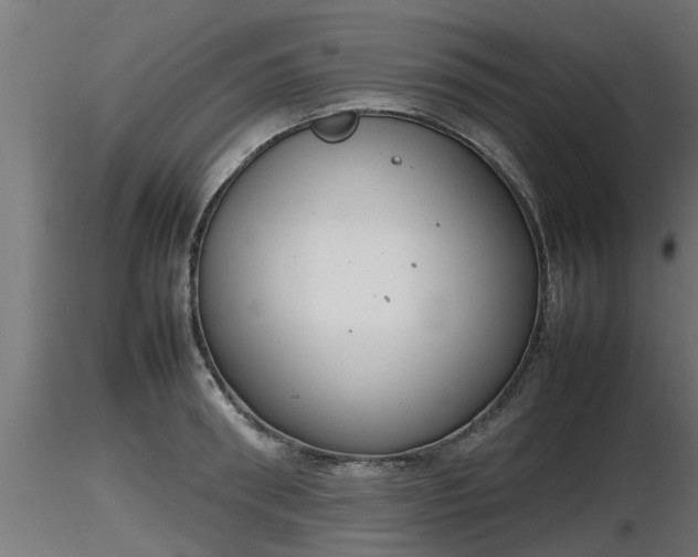X0000116880898200912291240