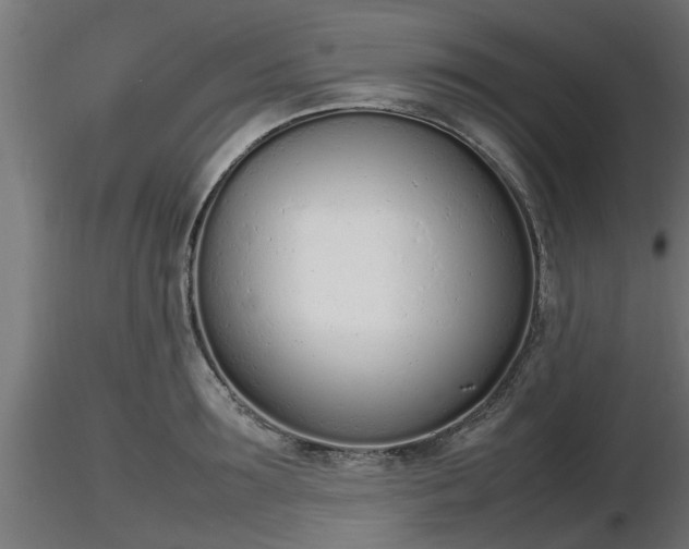X0000116880899200912291240