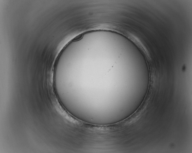X0000116880900200912291240