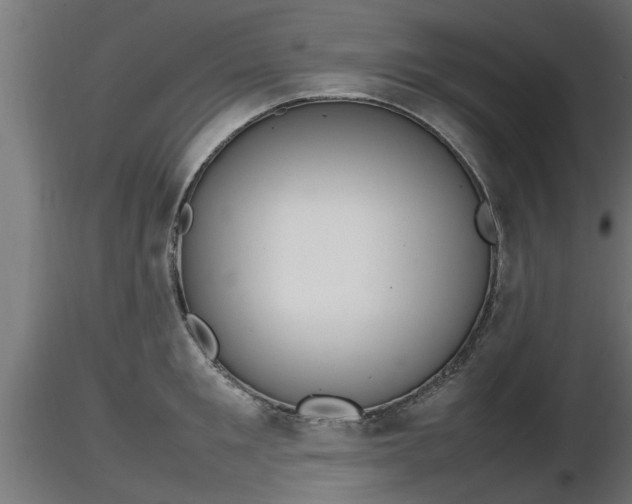X0000116880901200912291240