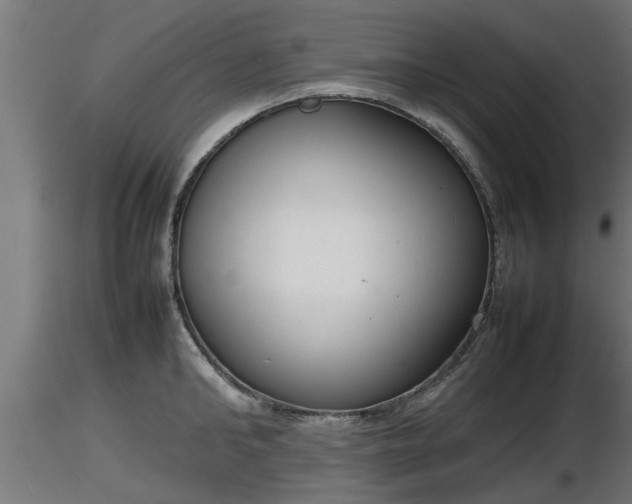 X0000116880902200912291240