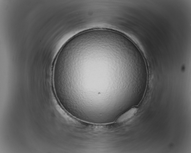 X0000116880903200912291240