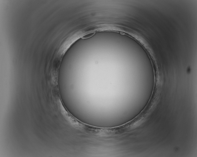 X0000116880905200912291239