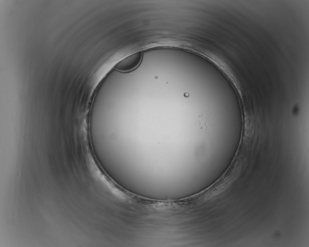 X0000116880906200912291239