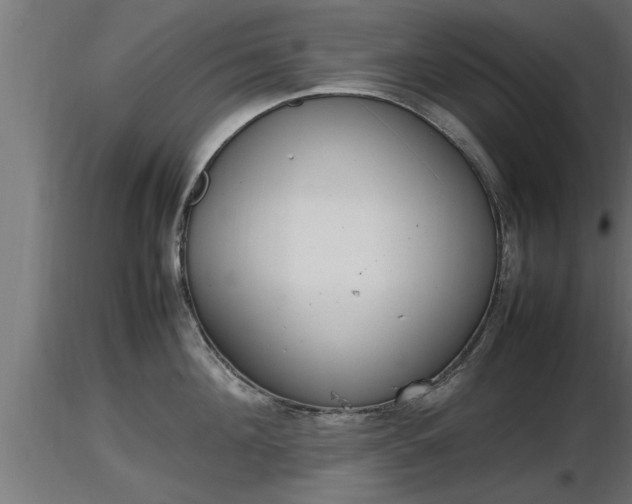 X0000116880908200912291239