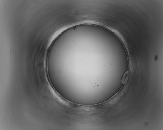 X0000116880910200912291239