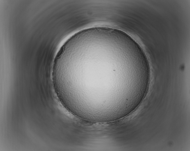 X0000116880912200912291239