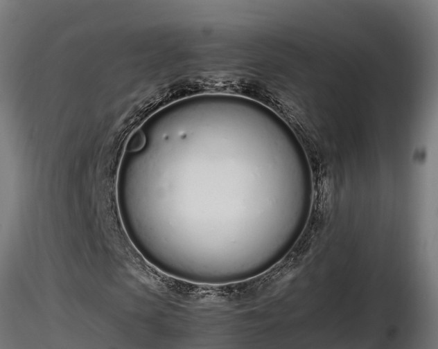 X0000116880913200912291239