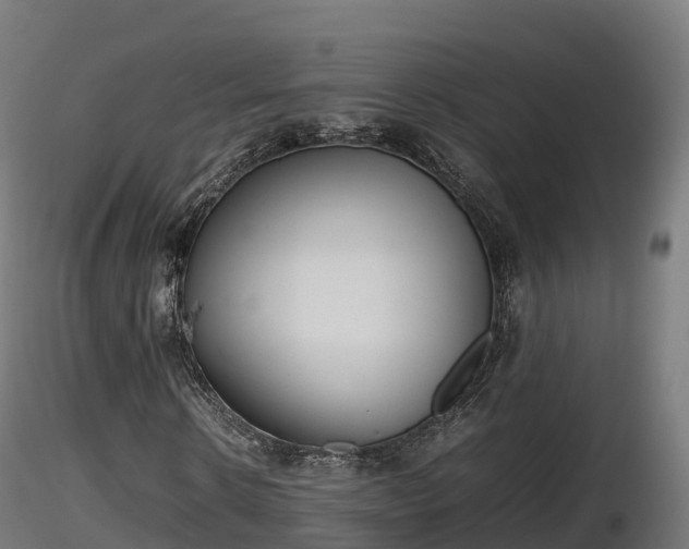 X0000116880914200912291239