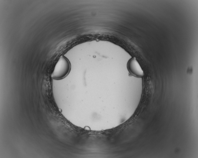X0000116880918200912291239