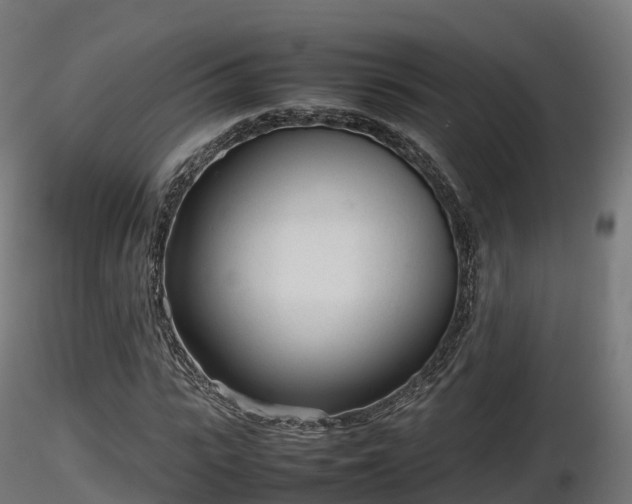X0000116880919200912291239