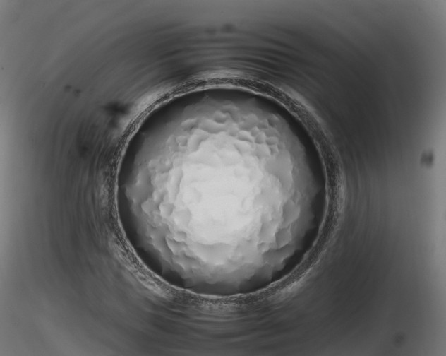 X0000116880921200912291239