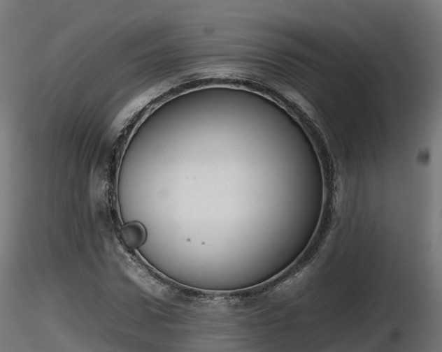 X0000116880922200912291239