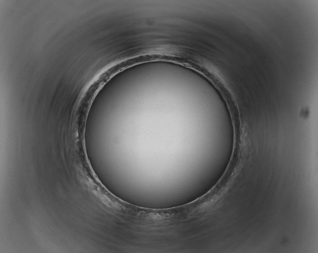 X0000116880923200912291239