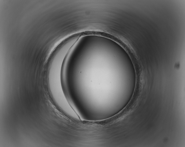 X0000116880926200912291239