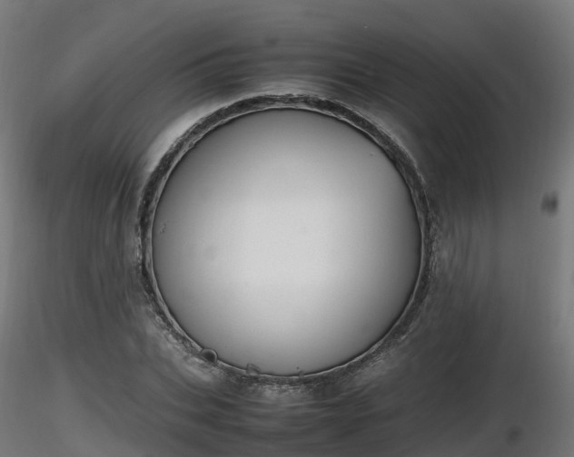 X0000116880927200912291239