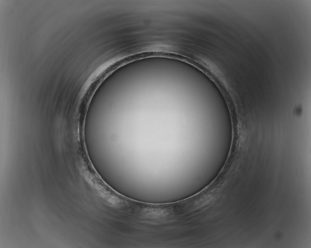 X0000116880931200912291239