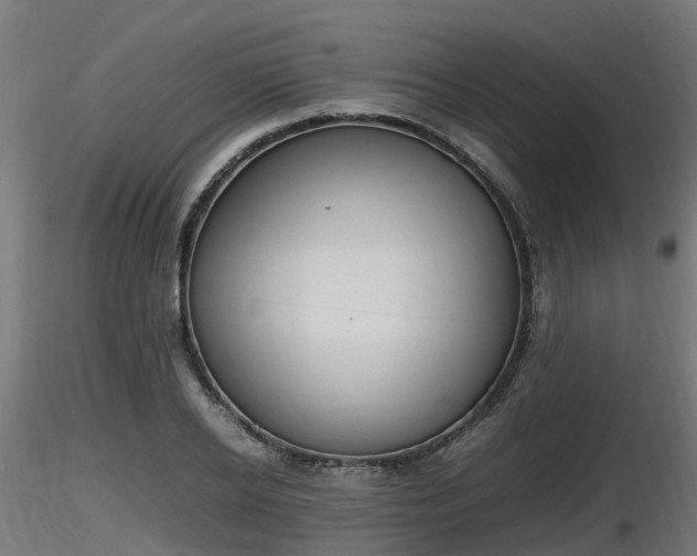 X0000116880934200912291239