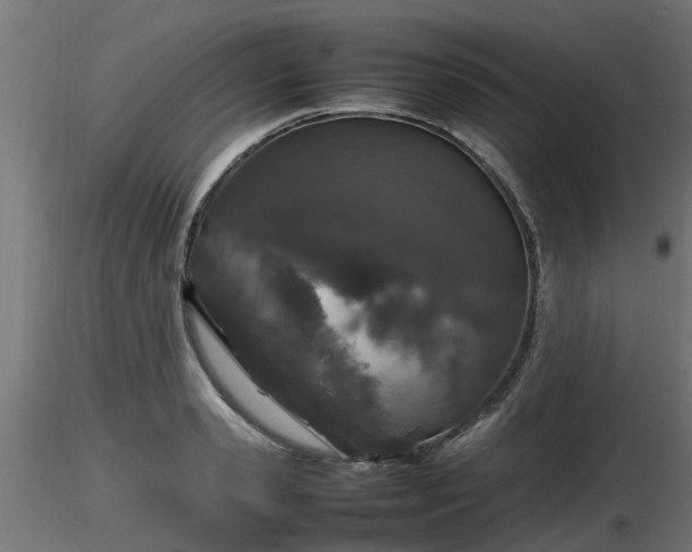 X0000116880941200912291239