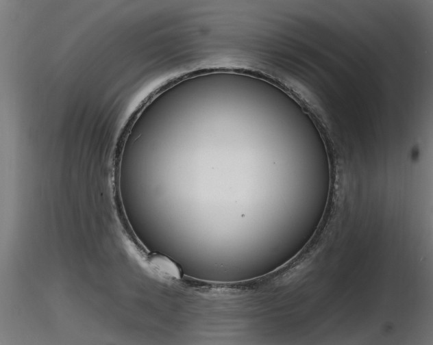 X0000116880942200912291239