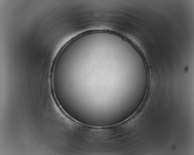 X0000116880943200912291239