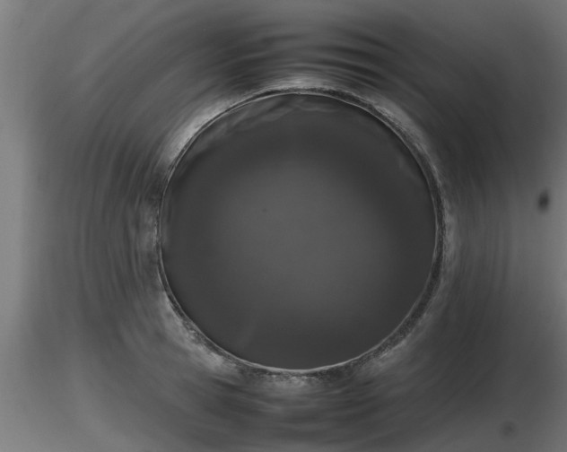 X0000116880945200912291239