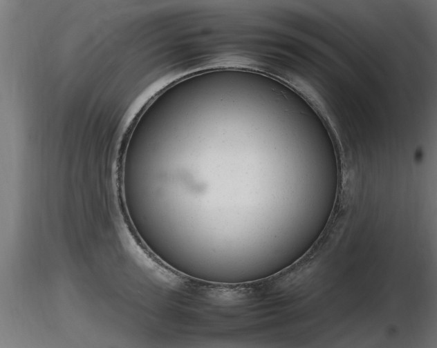 X0000116880947200912291239