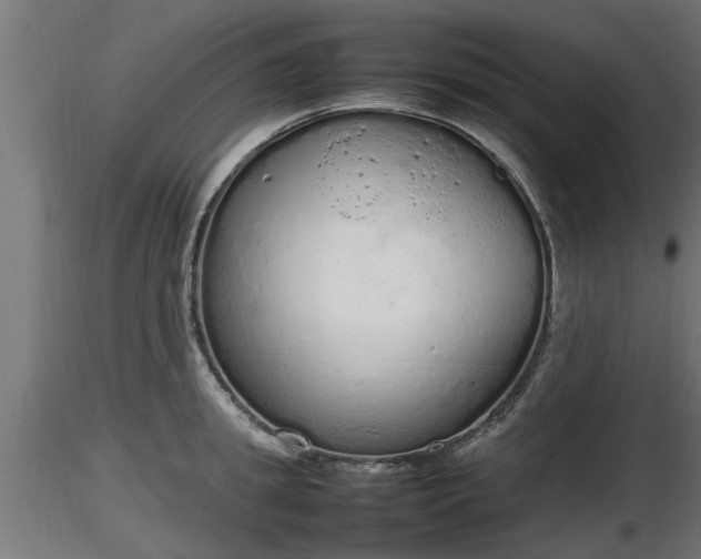 X0000116880949200912291239