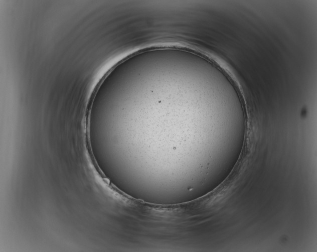 X0000116880951200912291239