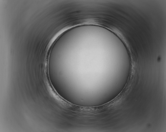 X0000116880955200912291239